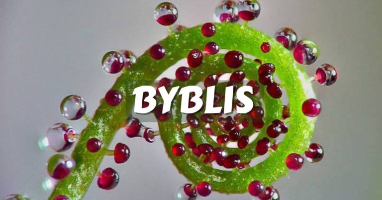 Byblis