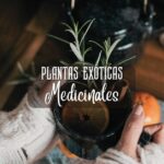 Plantas exóticas medicinales