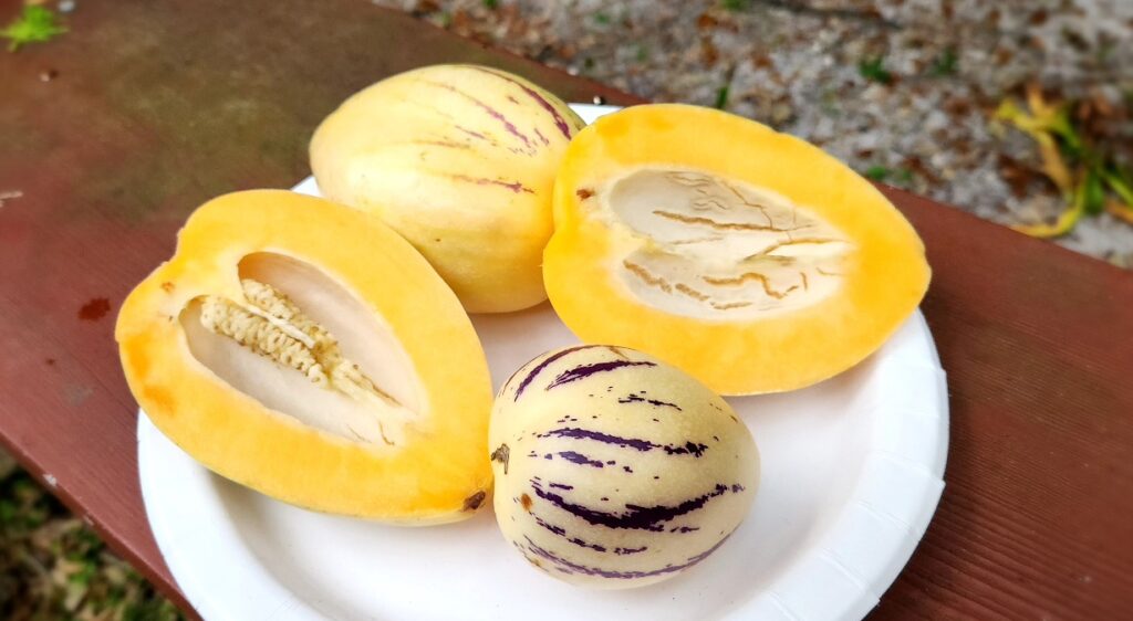 pepino melon frutas exóticas nutritivas