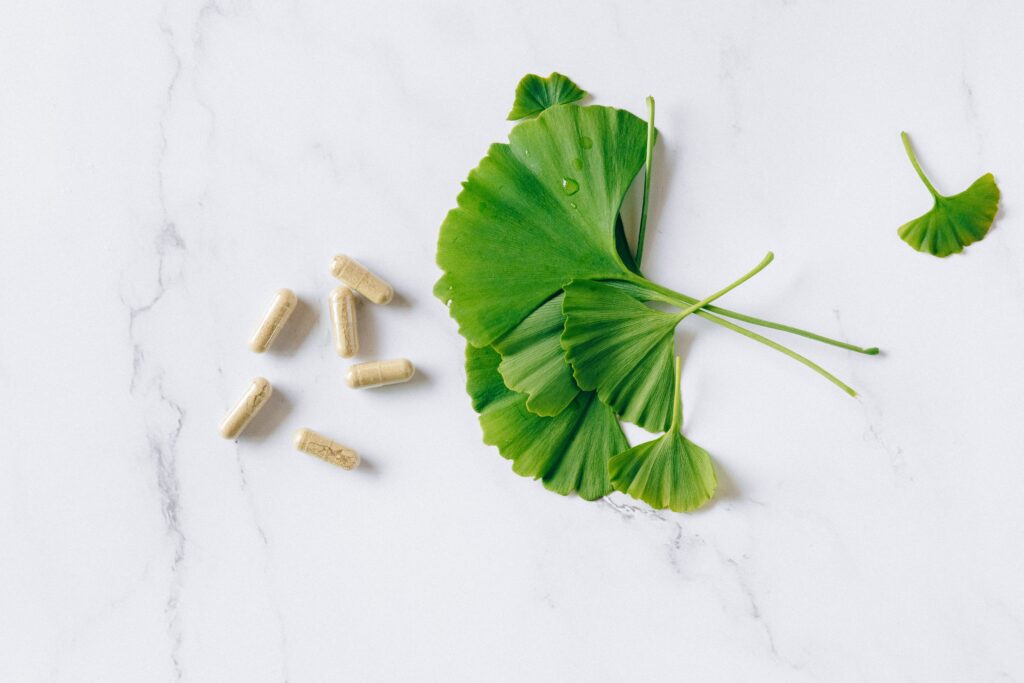 gingko biloba, árbol de la longevidad plantas exóticas medicinales