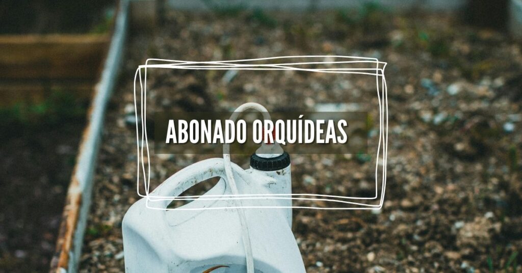 abono y fertilización de orquideas